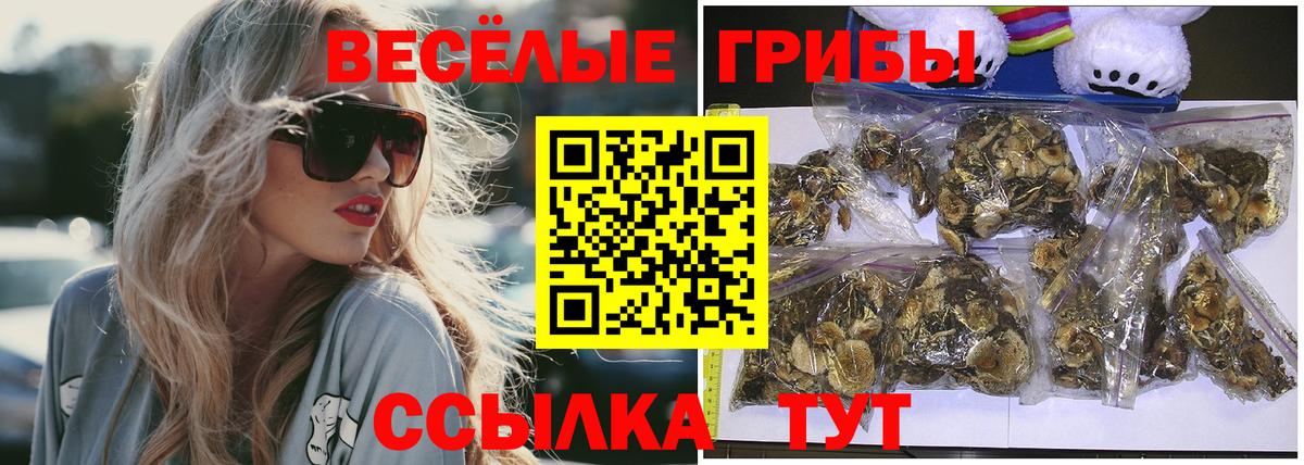 Углич  Галлюциногенные грибы GOLDEN TEACHER  Вход с VPN 